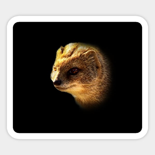 Yellow mongoose Sticker by Guardi